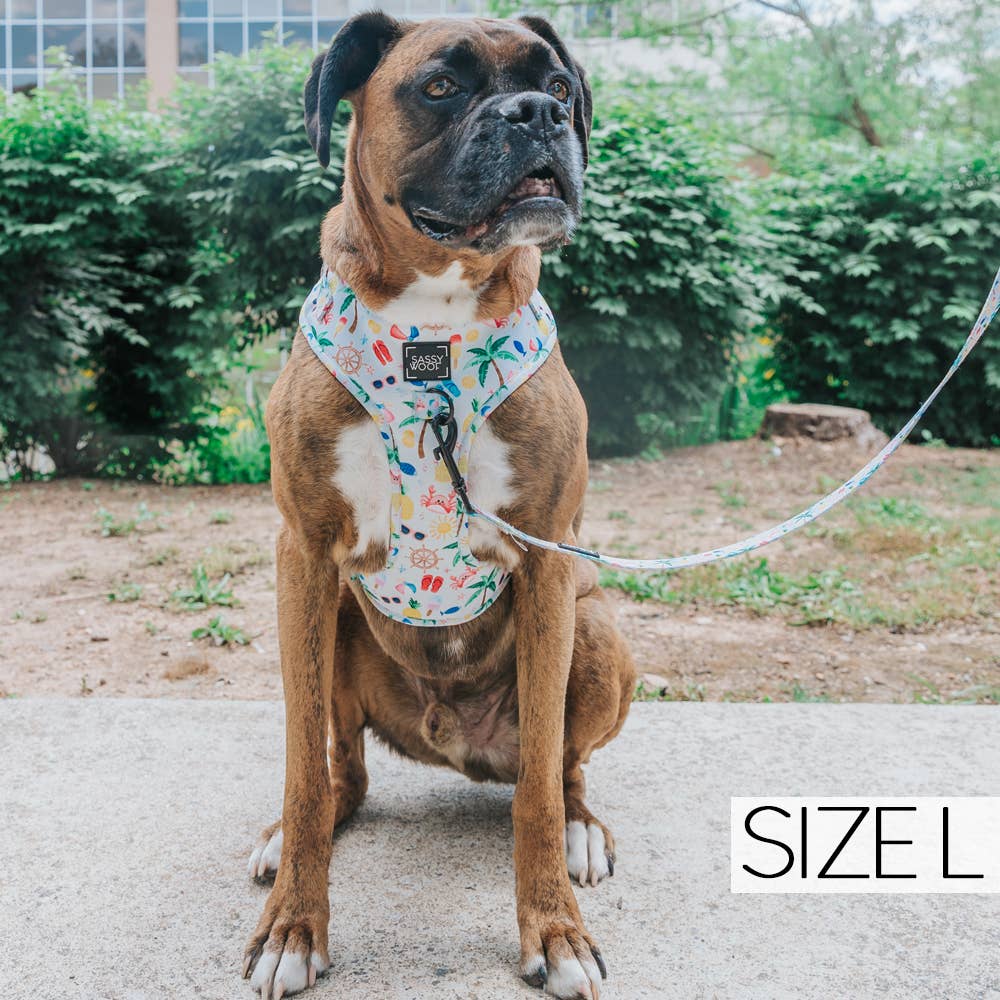 Two Piece Dog Bundle - Beach, Please