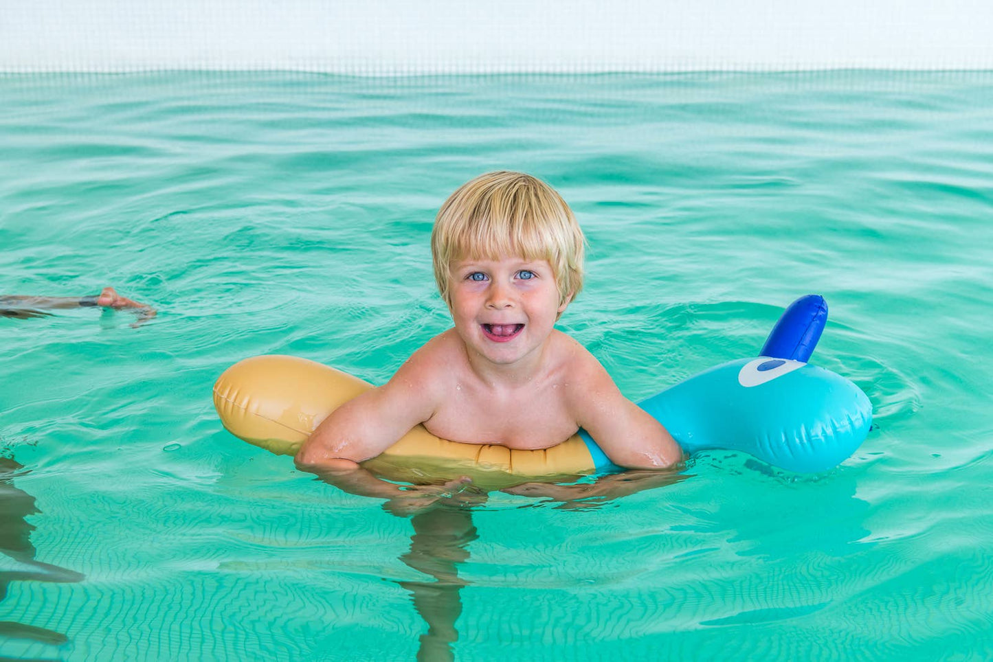 Quut Noodle Friends - Dino, Giraffe and Horse! Pool Toy