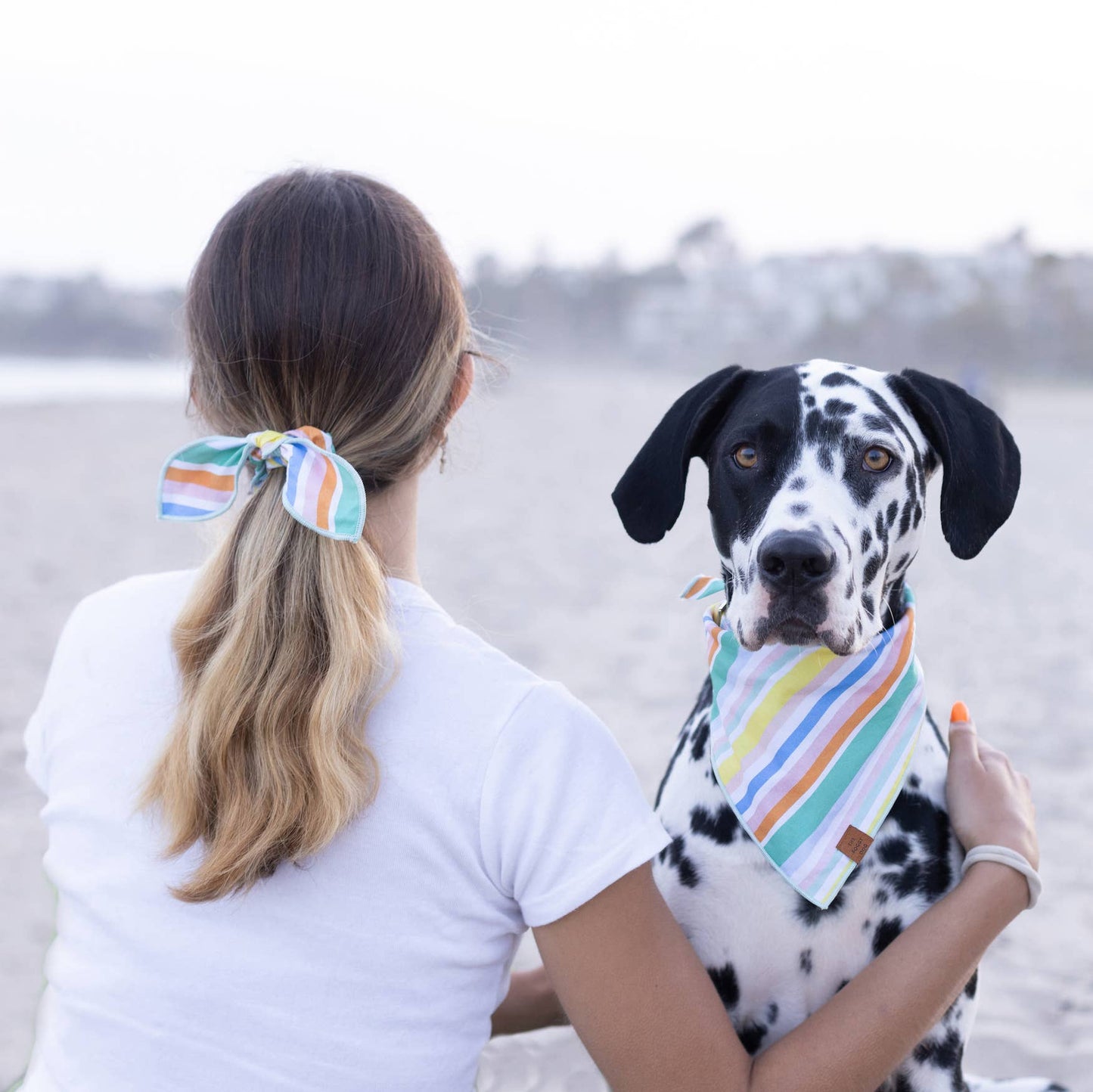 Umbrella Stripe Dog Bandana