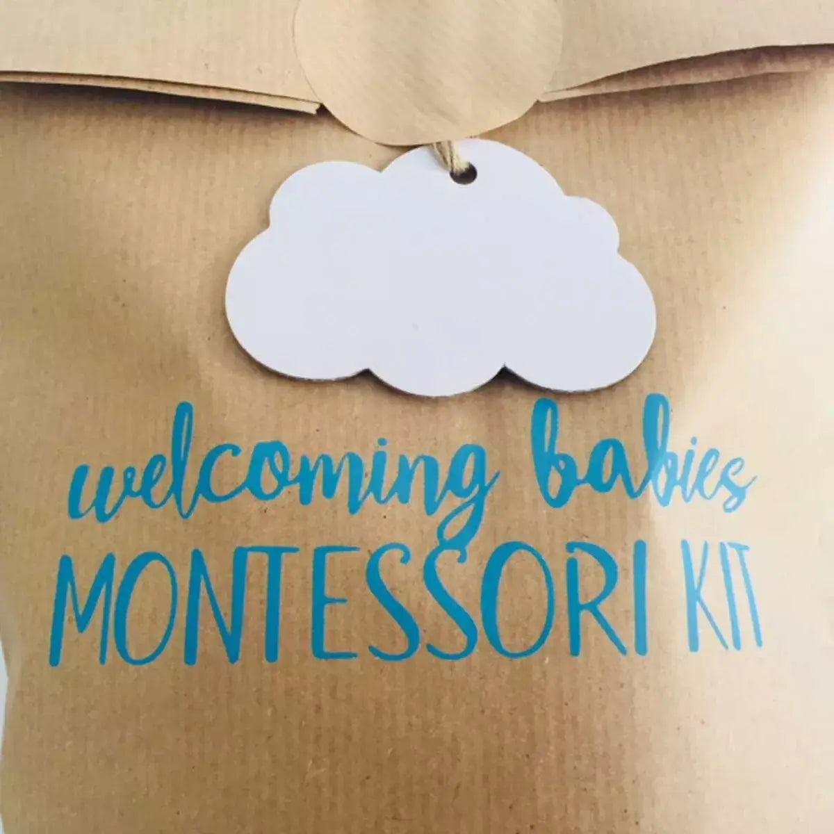 Montessori Baby Toys