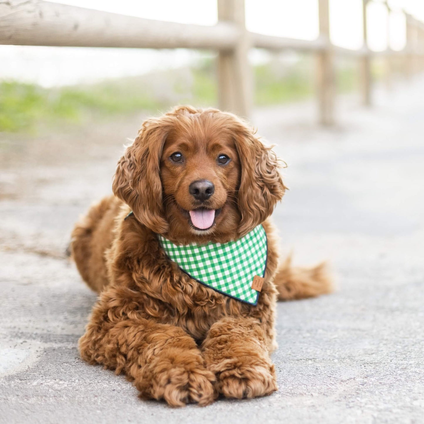Grass Gingham Dog Bandana