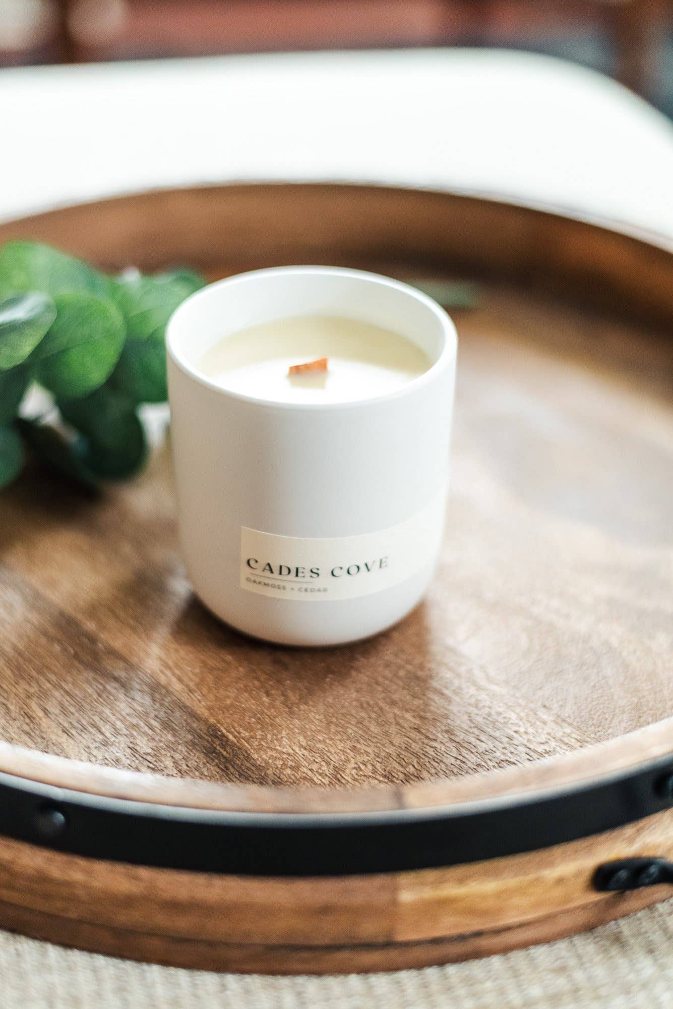 Cades Cove Candle (Oakmoss & Cedar)