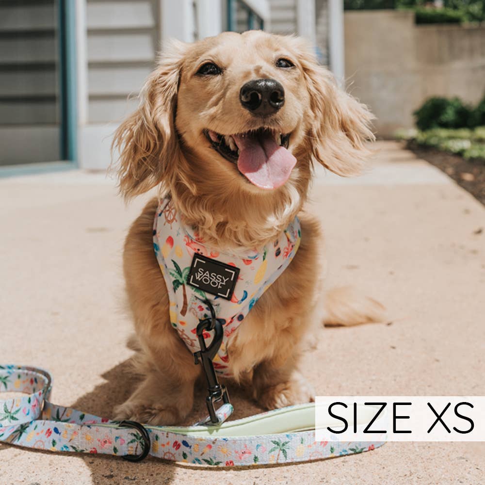 Two Piece Dog Bundle - Beach, Please