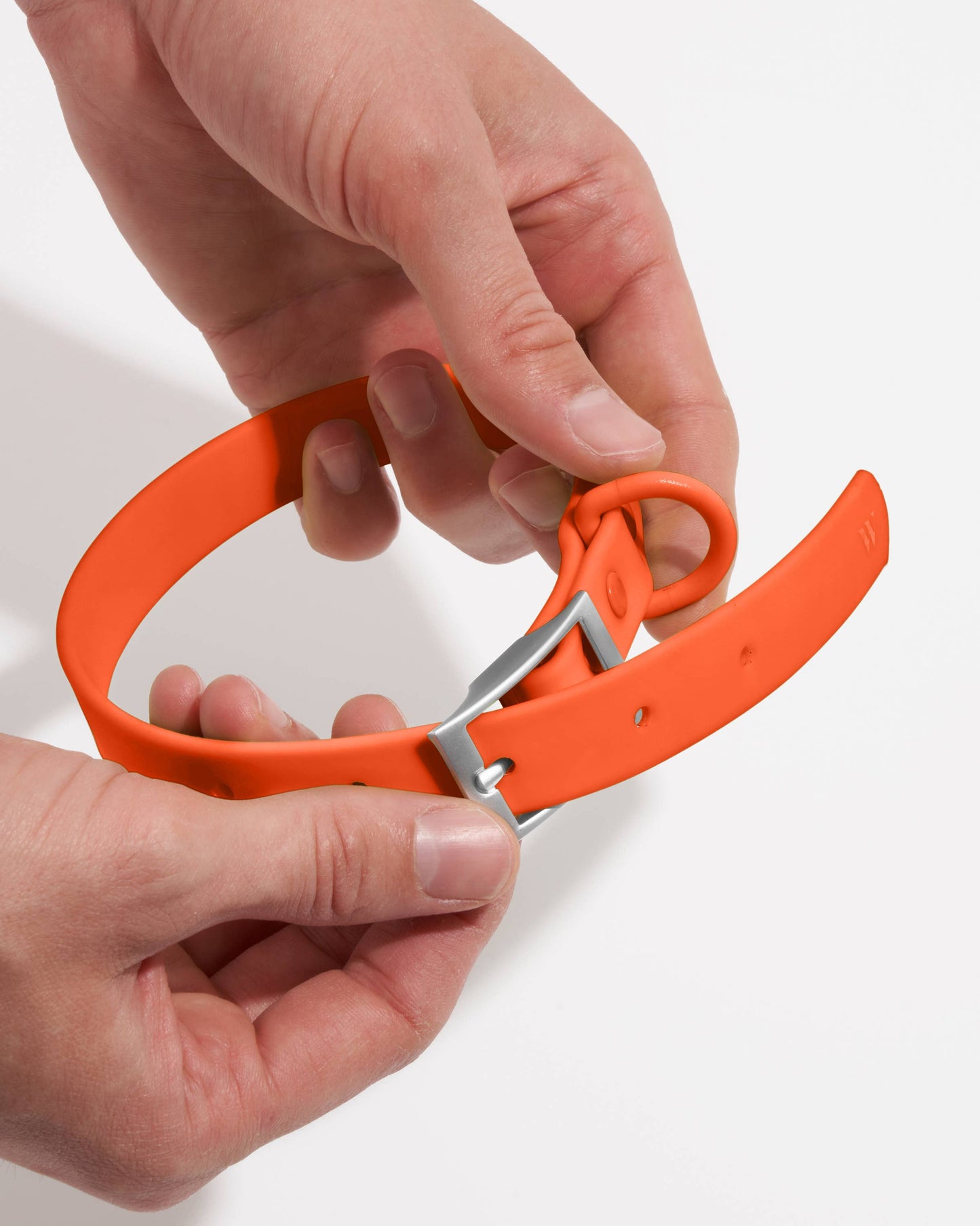 Adjustable Waterproof Fashion Dog Collar