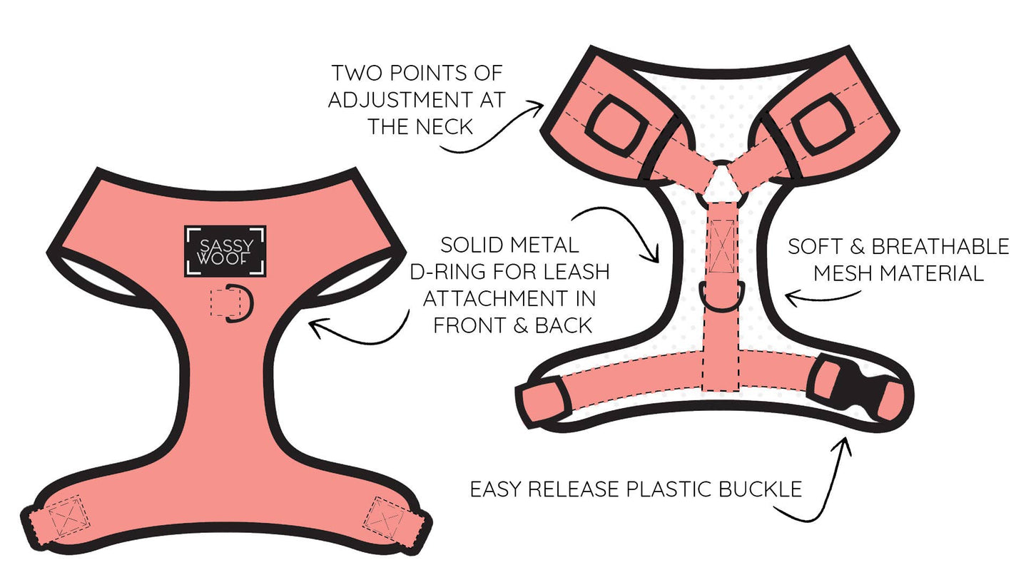 Two Piece Dog Bundle - Beach, Please