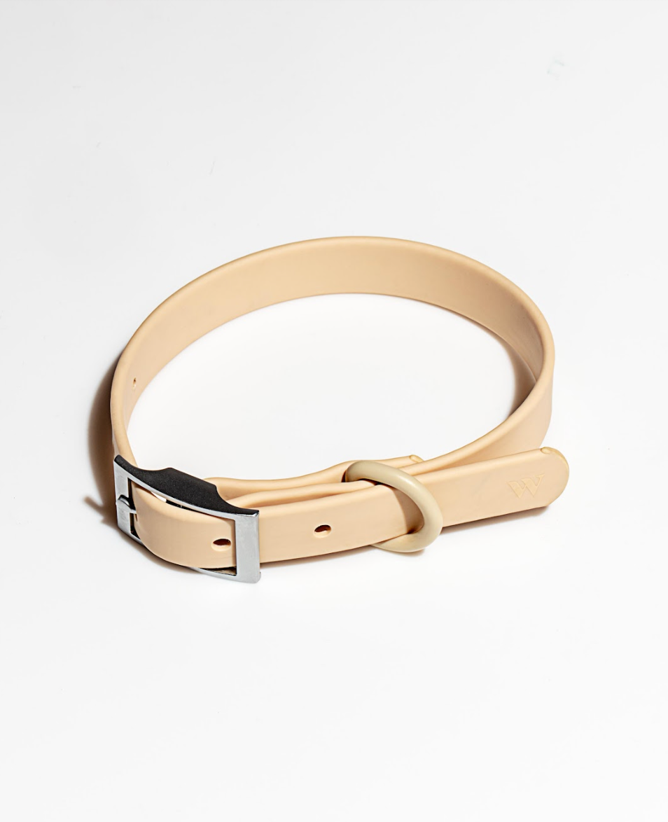 Adjustable Waterproof Fashion Dog Collar