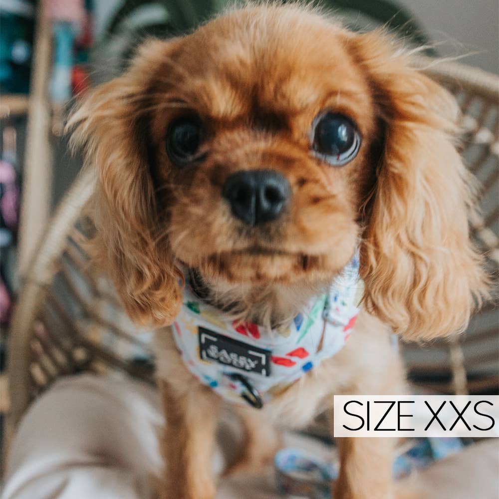 Two Piece Dog Bundle - Beach, Please