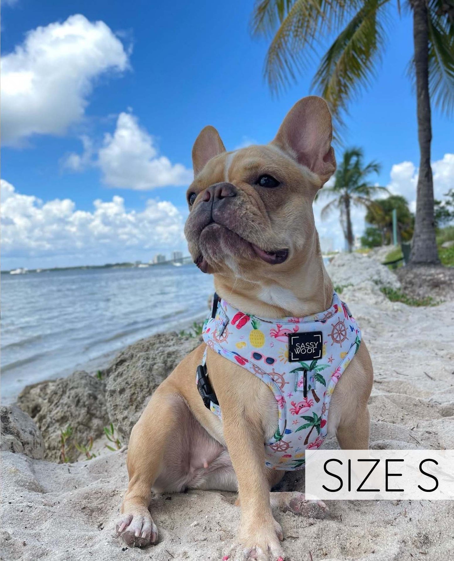Two Piece Dog Bundle - Beach, Please