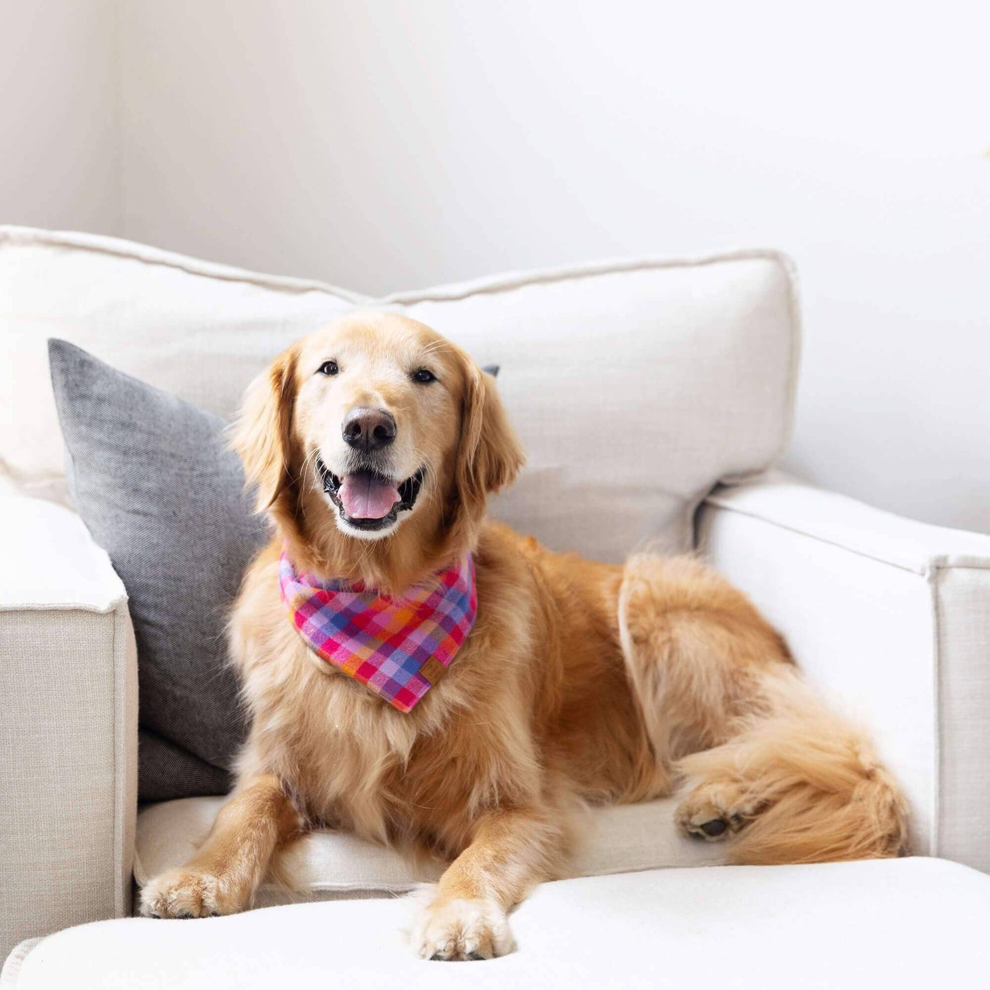 Sunset Flannel Dog Bandana