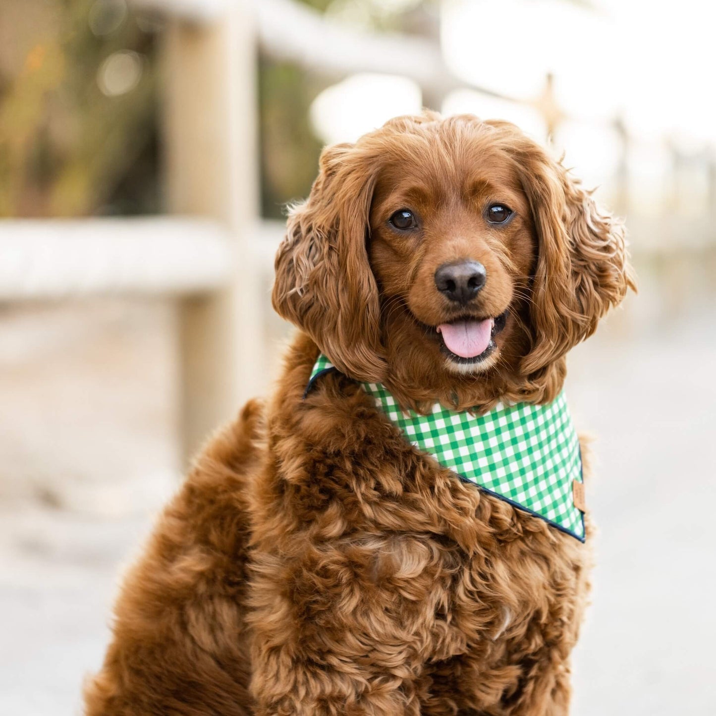 Grass Gingham Dog Bandana