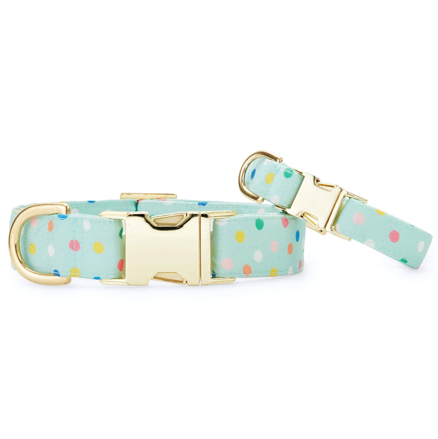 Confetti Dots Birthday Dog Collar
