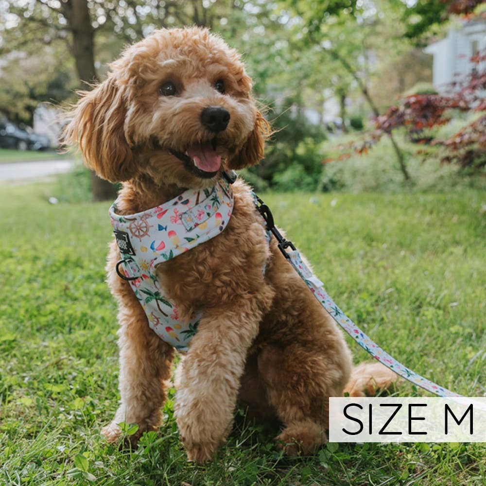 Two Piece Dog Bundle - Beach, Please