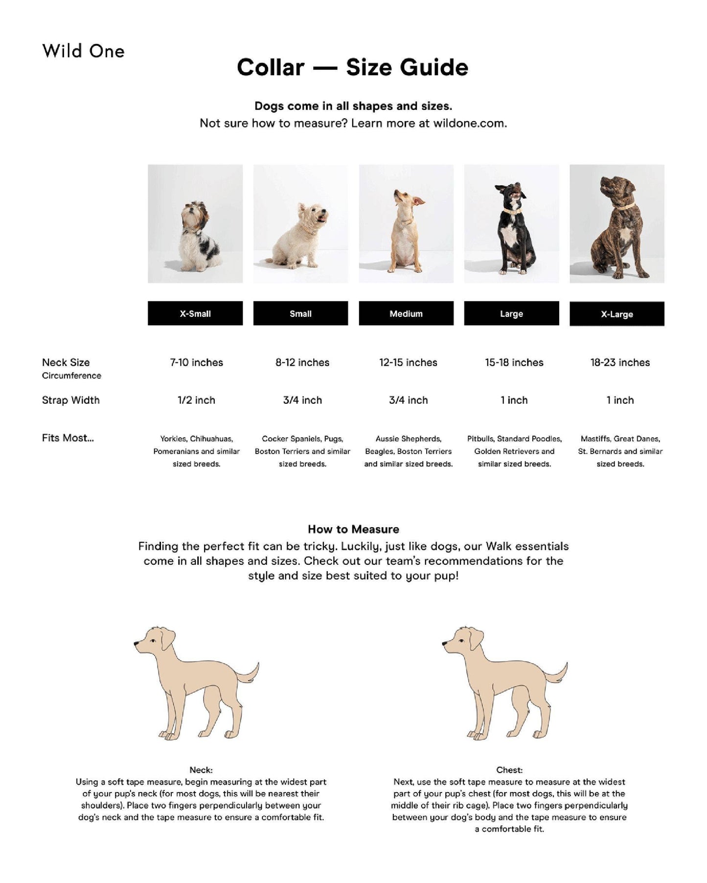 Adjustable Waterproof Fashion Dog Collar