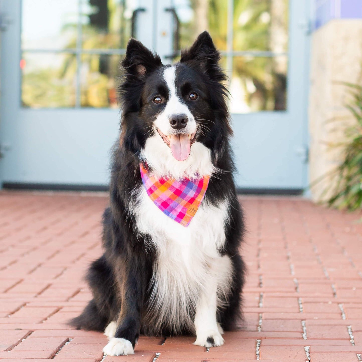 Sunset Flannel Dog Bandana