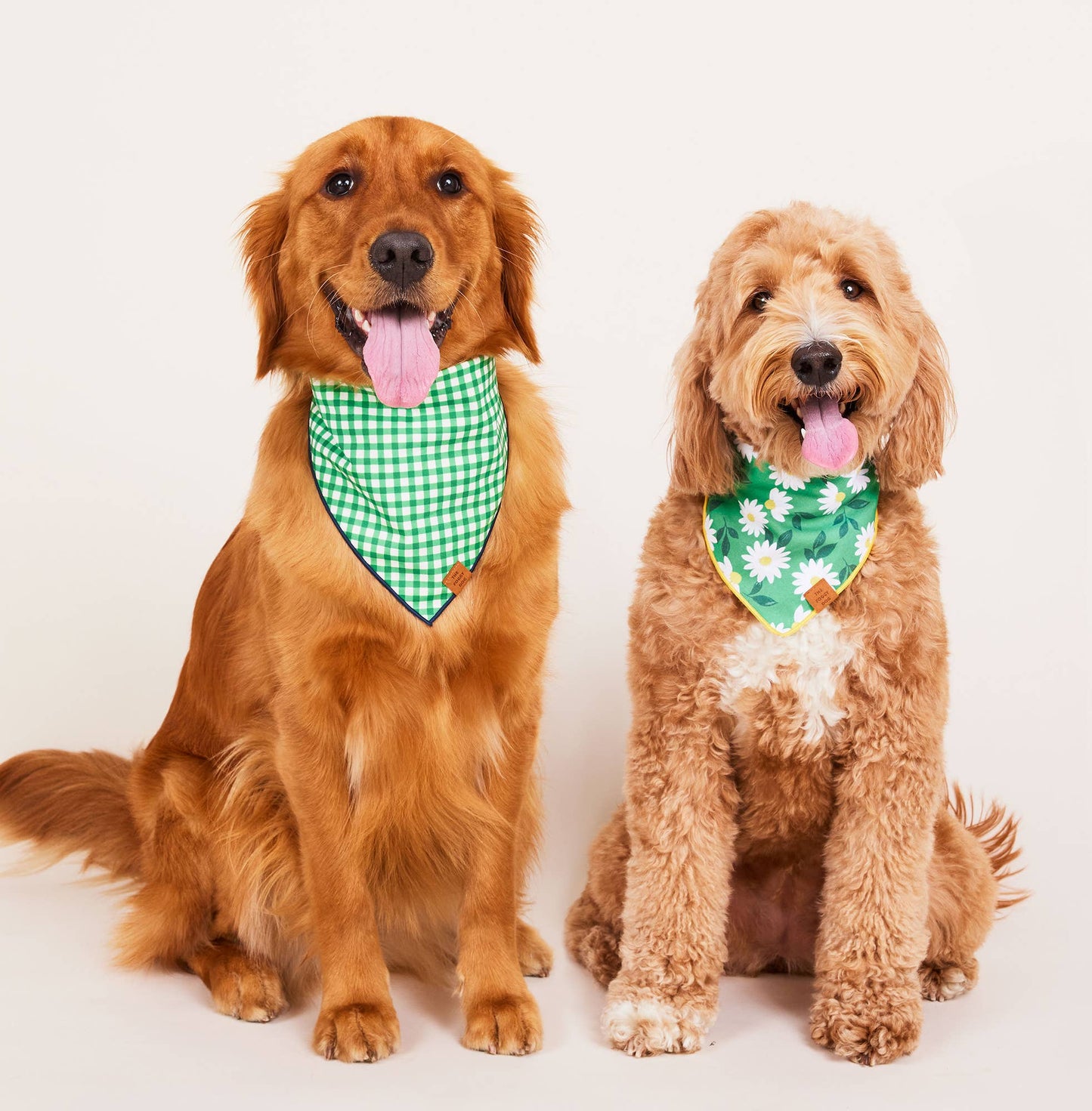 Grass Gingham Dog Bandana
