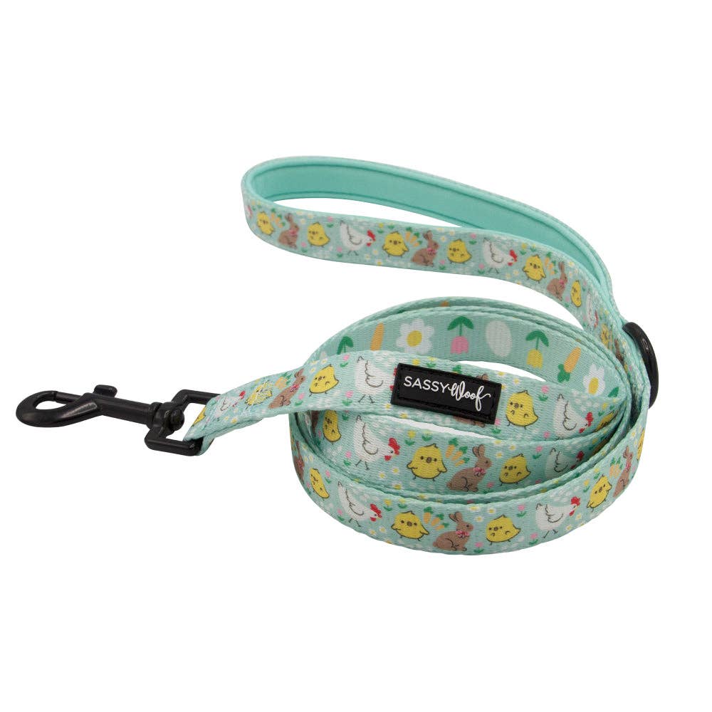 Dog Leash - Chick Me Out