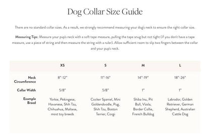 Confetti Dots Birthday Dog Collar